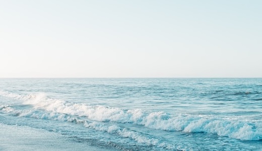 読者会ニュースVol.9